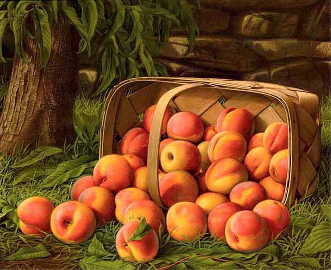 BASKET OF PEACHES LEVI WELLS PRENTICE 1851 OIL PAINTING: BASKET OF PEACHES LEVI WELLS PRENTICE 1851 OIL PAINTING Oil on canvas, 'BASKET OF PEACHES', signed L. W. Prentice lower right, 19th century realist depiction of an overturned basket lush with peaches