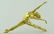 18KT GOLD BALLERINA DANCER BROOCH SATIN POLISHED FINISH