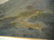 GOTTARDO FIDELE PONZIANO PIAZZONI CALIFORNIA PAINTING - 6