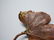 CLAUDE LALANNE GALVANISED COPPER GINKGO LEAF BROOCH PIN - 2