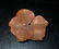 Claude Lalanne, galvanised copper, Floral Brooch Claude