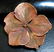 Claude Lalanne, galvanised copper, Floral Brooch Claude - 3