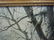 TONI ARON ICE SKATING WINTER FIGURES DOG OIL PAINTING - 10