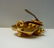 ENGRAVED 14KT GOLD VICTORIAN SEED PEAL ONYX BAR BROOCH - 6