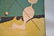 AFTER JOAN MIRO PAINTING PERSON THROWING STONE AT BIRD - 8