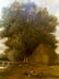 GEORGE VICAT COLE OIL PAINTING RIVER LANDSCAPE C.1876 - 3