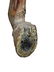 HERSCHELL SPILLMAN STANDER CARVED WOODEN CAROUSEL HORSE - 8