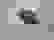 item-86615146=5