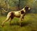 AMERICAN SCHOOL POINTER HUNTING DOG OIL PAINTING c 1909 - 2