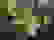 item-105475261=3
