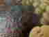 item-107978994=3