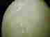 item-128644693=2