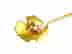 item-131832623=2