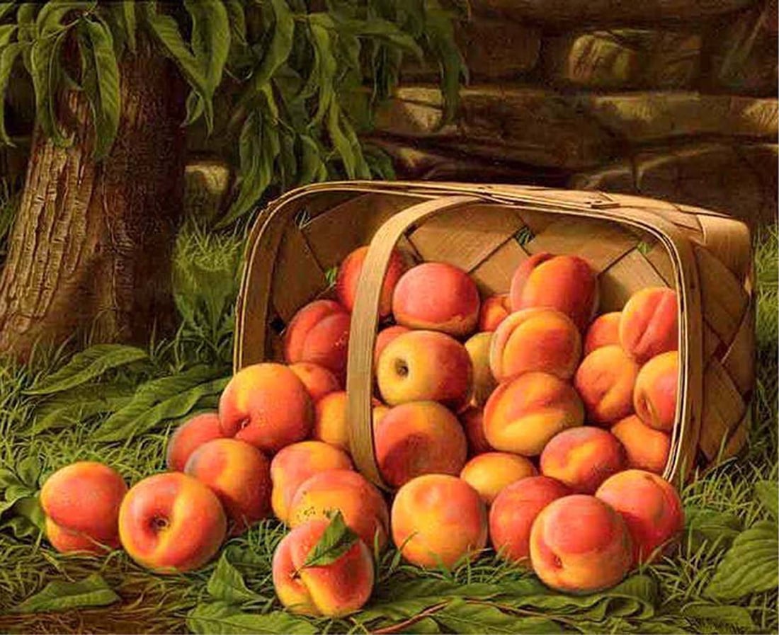 BASKET OF PEACHES LEVI WELLS PRENTICE 1851 OIL PAINTING Oil on canvas, 'BASKET OF PEACHES',: BASKET OF PEACHES LEVI WELLS PRENTICE 1851 OIL PAINTING Oil on canvas, 'BASKET OF PEACHES', signed L. W. Prentice lower right, 19th century realist depiction of an overturned basket lush with peaches