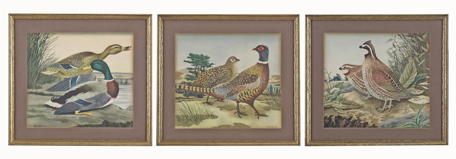 JOHN SMITH ATHERTON ENGLISH, 1877 - 1943 (3) STILL LIFE /BIRD ? CHROMOLITHOGRAPHIC PRINTS John: JOHN SMITH ATHERTON ENGLISH, 1877 - 1943 (3) STILL LIFE /BIRD ? CHROMOLITHOGRAPHIC PRINTS John Smith Atherton English, 1877 - 1943 3 Still Life /Bird ? chromolithographic prints. Image size: 9 3/4 x 9