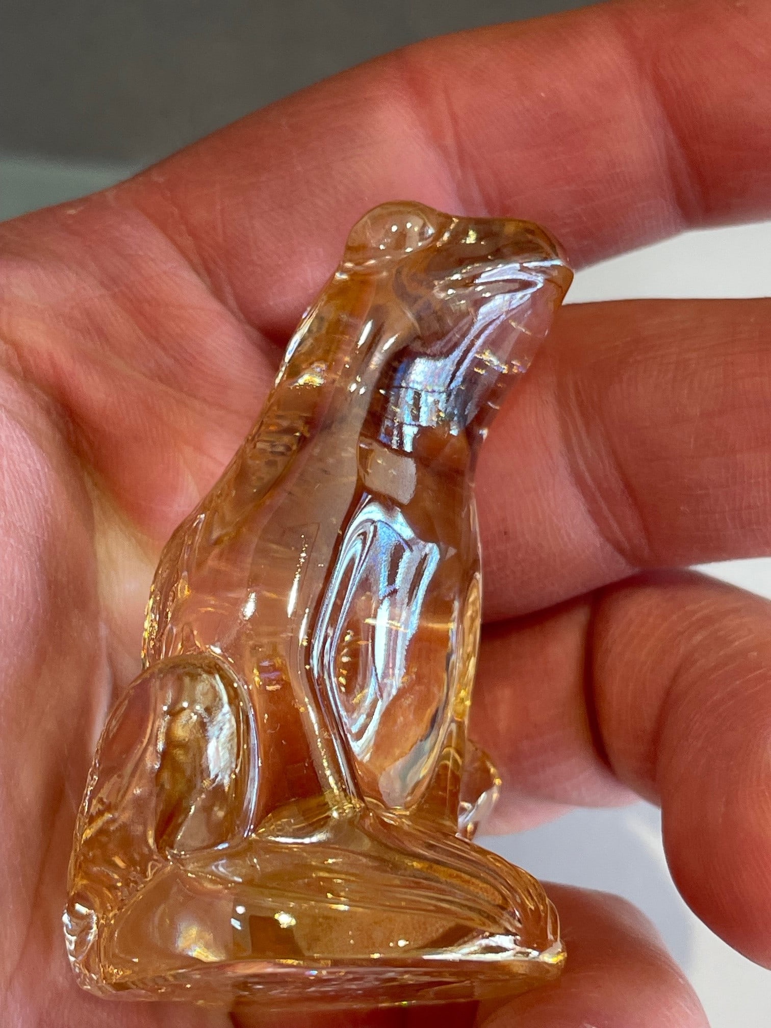 LALIQUE LIGHT AMBER RAINETTE FROG ART GLASS SCULPTURE PAPERWEIGHT PAPER WEIGHT w/ BOX & PAPERS Made (1 of 9)