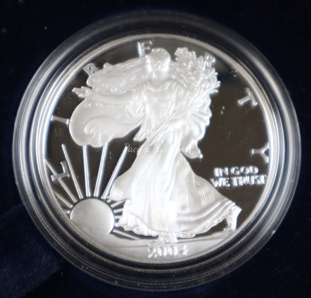 2004 AMERICAN EAGLE ONE OUNCE SILVER PROOF COIN (1 of 3)
