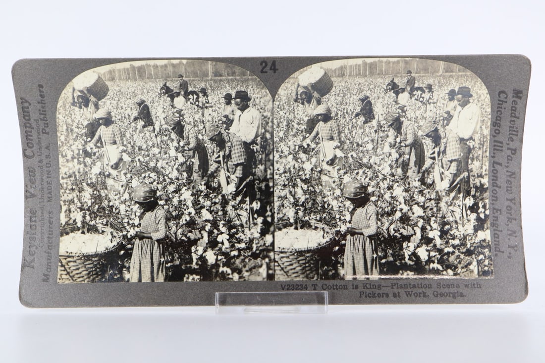 COTTON IS KING - PLANTATION SCENE, GEORGIA STEREOSCOPE CARD, KEYSTONE VIEW COMPANY, UNDERWOOD & UNDE (1 of 5)