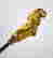 item-71909748=3
