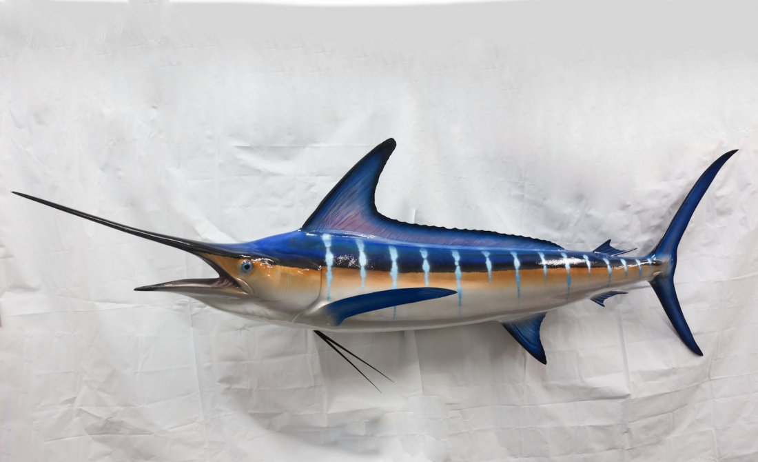 Monumental Leaping Marlin Display Taxidermy Fish 91": A taxidermy marlin dated 2007 from Gray Taxidermy 97"