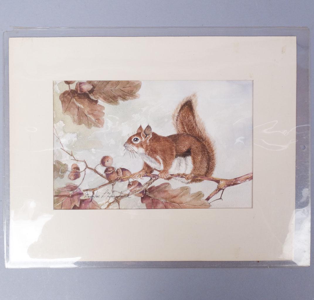 Signed Douglas Howland Watercolor Squirrel in Oak Tree: This is a signed Douglas Howland watercolor. Howland (1920-1999) was an American Postwar & Contemporary artist. He attended the Rochester Institute of Technology and graduated in 1941 with a Fine Arts