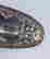 item-99200512=9