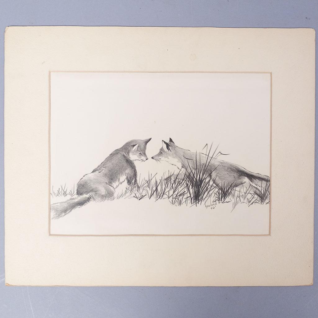 Douglas Howland Signed Graphite Drawing Pair of Foxes (1 of 4)