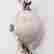 item-115677935=5