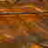 item-122457929=3