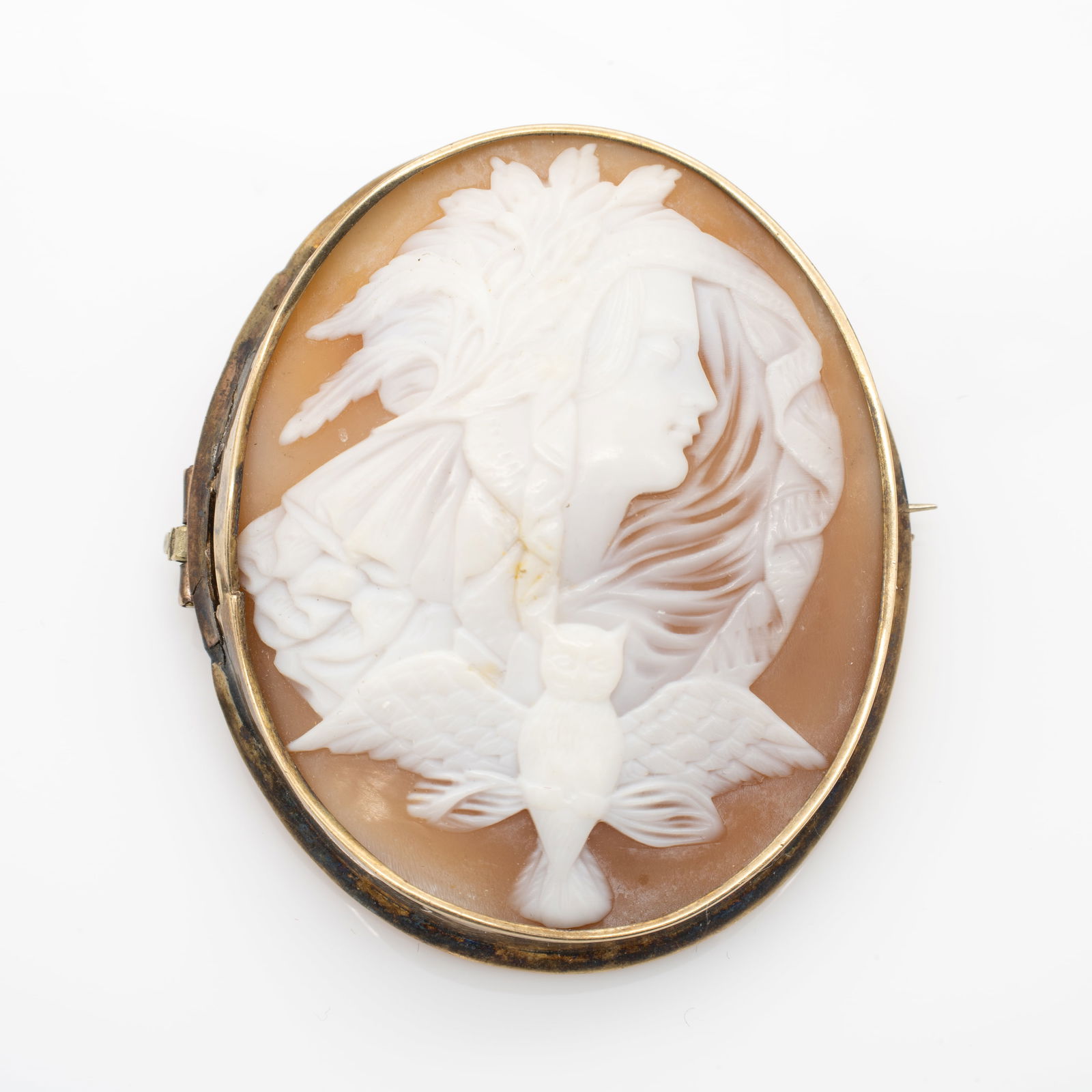 Antique Gold Shell Cameo Featuring Goddess of the Night with Owl (1 of 6)