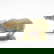 item-209941536=1