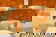 item-209941853=7