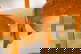 item-209941853=9
