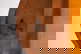item-209941854=13