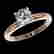 item-84501053=2