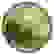 item-102026854=2