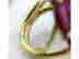 item-129192465=2