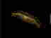 item-131934130=8