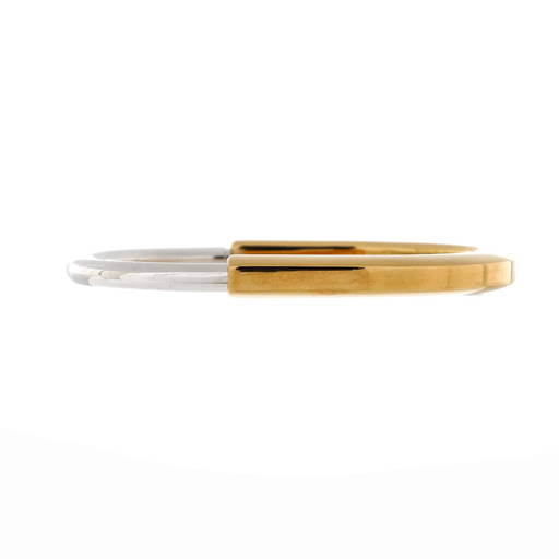 Paparazzi VINTAGE VAULT Paparazzi VINTAGE VAULT
