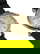 item-208749454=2