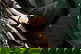 item-208748167=6
