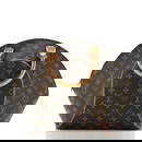 Louis Vuitton Ellipse Bag Monogram Canvas