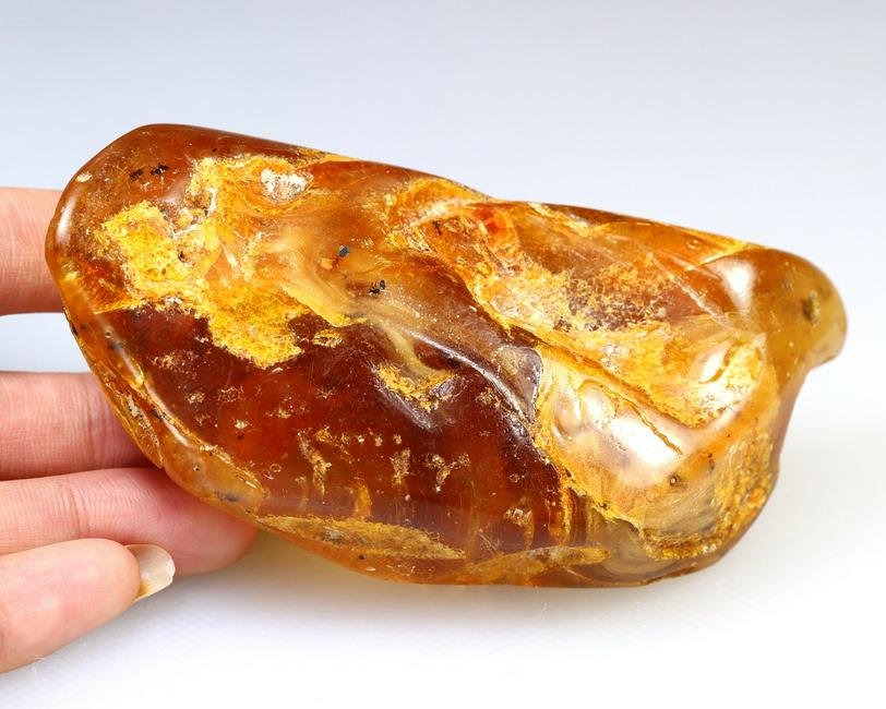 78g Baltic Amber Specimen with Insect Fossil 9.7x4.5x3.2cm (1 of 5)