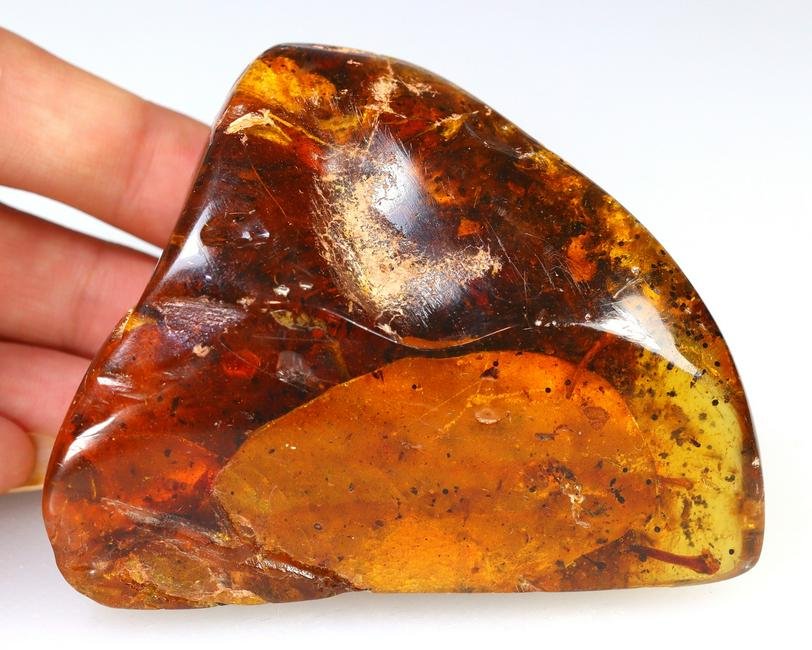 66g Baltic Amber with Insect Fossil 7.5x6x3.5cm: Thousand Planet Auction House Treasure Auction Day, all major kinds of Mineral, you will find in today's auctions. Join us and add our auction into your calendar. Today auction including Artifacts, Mi