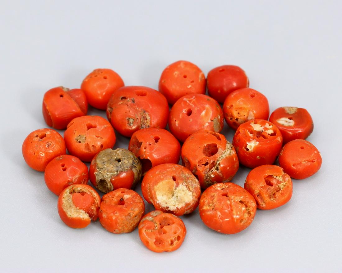 Collection of 10mm Very Old Himalayan Tibetan Antique Red Coral Beads Rare Find: Thousand Planet Auction House Treasure Auction Day, all major kinds of Mineral, you will find in today's auctions. Join us and add our auction into your calendar. Today auction including Artifacts, Mi