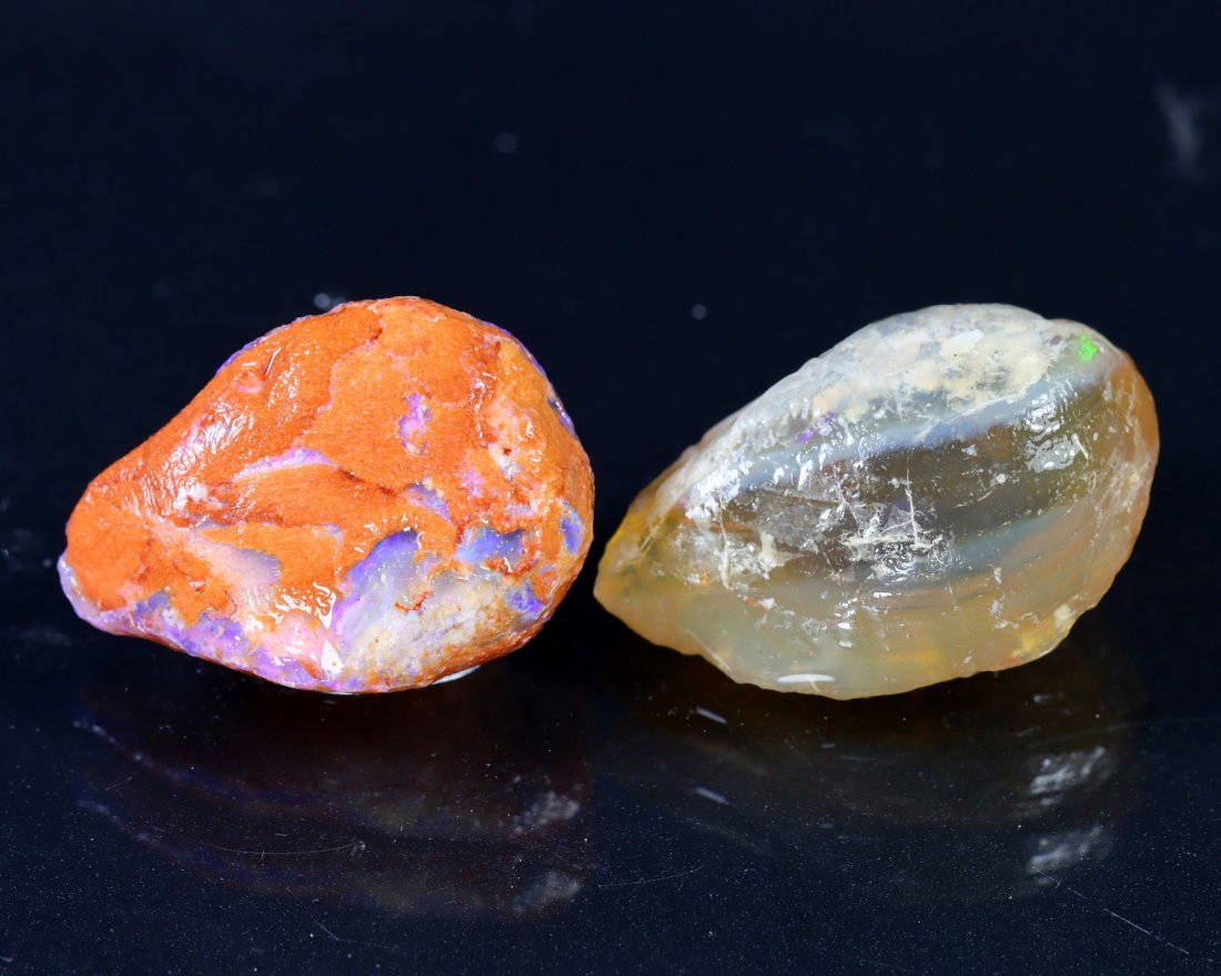 96110 Million Years Old Lightning Ridge Opalized Clam Shell Fossil