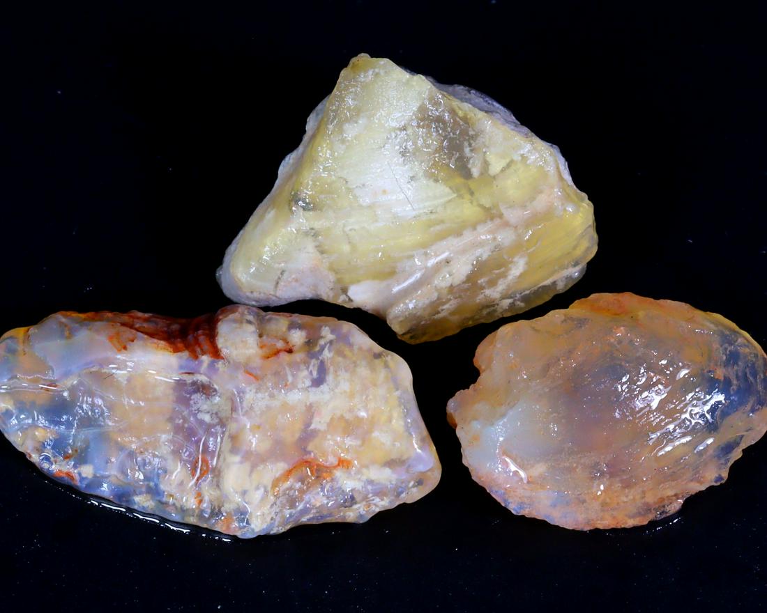 Rare Bivalve Mollusks Clam Shell Opal Fossil Lightning Ridge Fossilized Opal 42.5Ct 29x15mm (1 of 3)