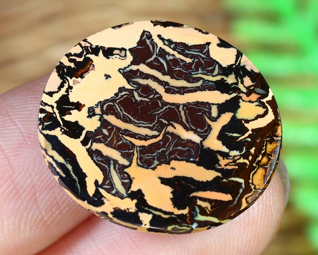 Australian Queensland Koroit Mine Loose Boulder Solid Opal Cabochon (1 of 4)