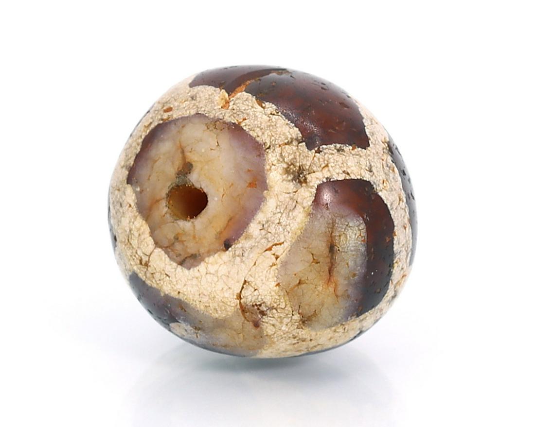 An Antique Tortoise Back Phum dZi Beads Himalayan Carnelian Bead Asian Art Collection (1 of 4)