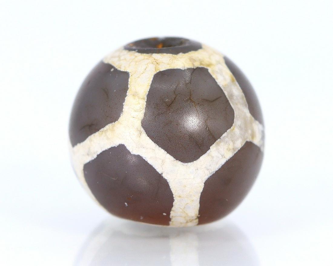 An Antique Tortoise Back Phum dZi Beads Himalayan Carnelian Bead Asian Art Collection (1 of 4)